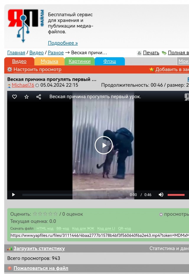 Видео для котовторника
