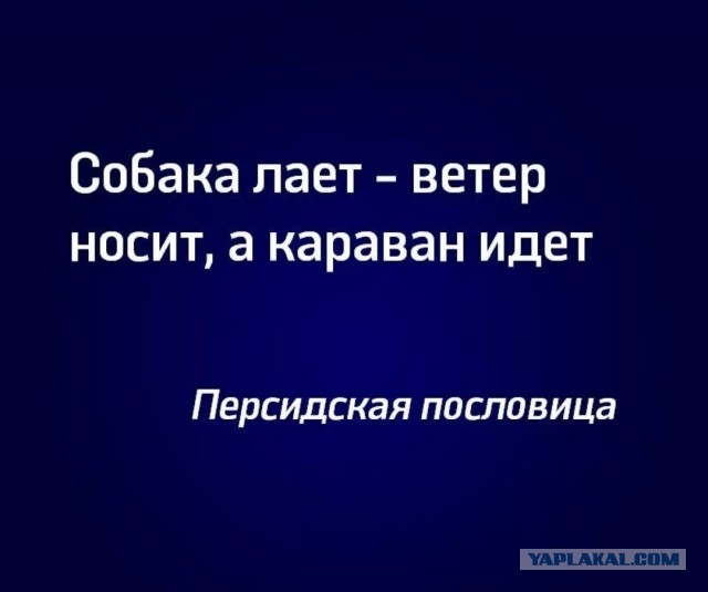 Немножечко недовольный человек