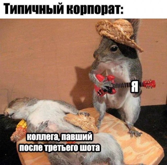 Картиночки, баянчики 15 декабря