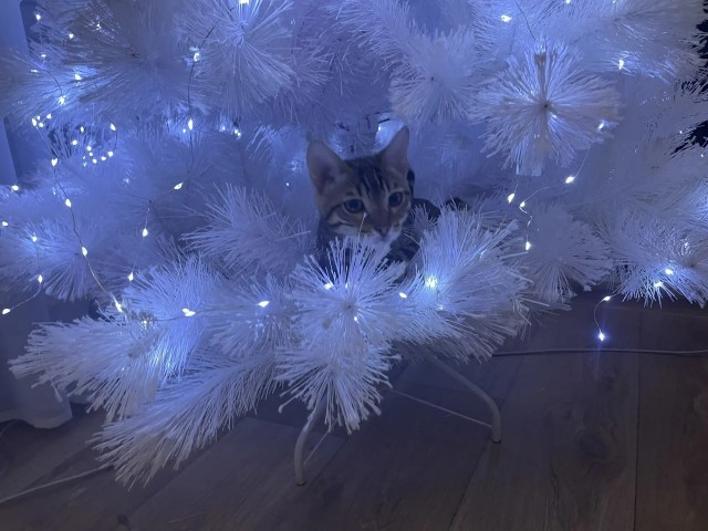 За секунду до...