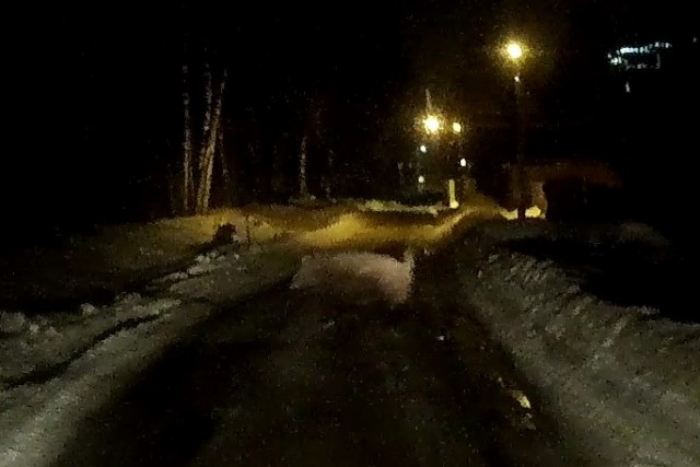 Найди лося