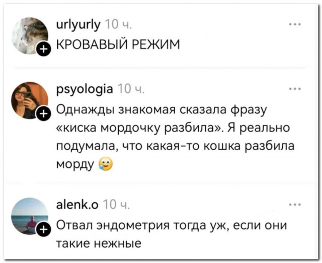 Поездка в Краснодар - самый нормальный вариант⁠⁠
