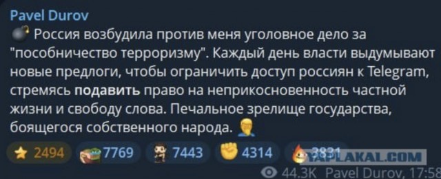 В Госдуме предложили Telegram открыть представительство в России для стабильной работы мессенджера без замедлений