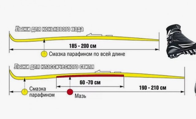Земля точно не плоская