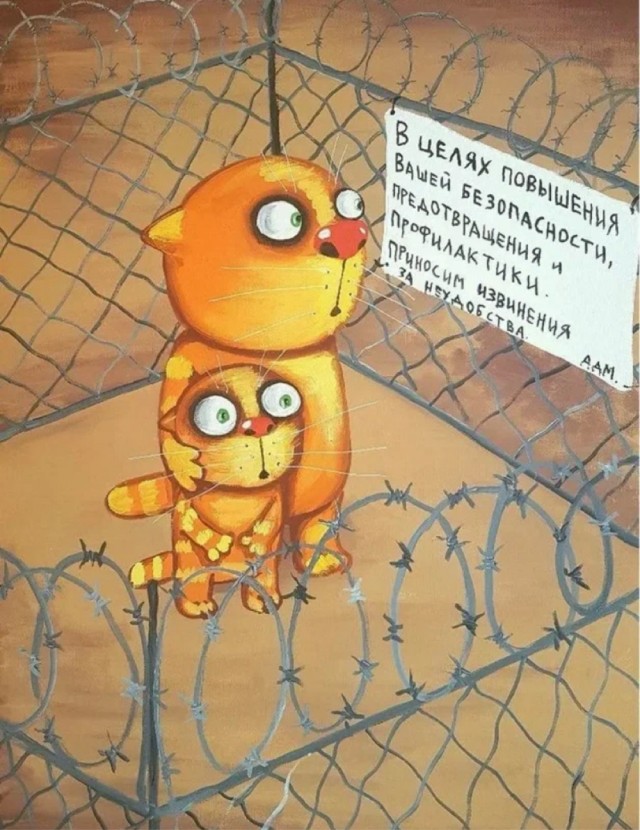 Зачем нужны все эти запреты?