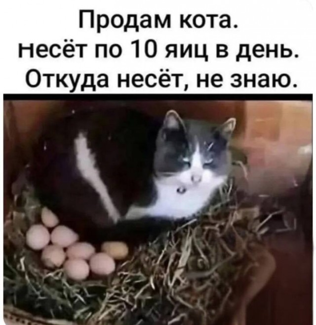 Картинки для деградации 189 (разной степени свежести)