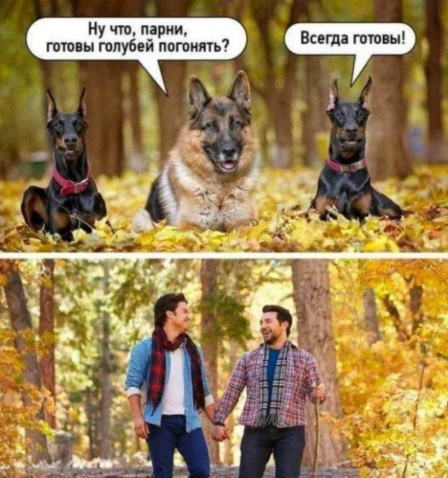 Так себе картинки 21.06.26