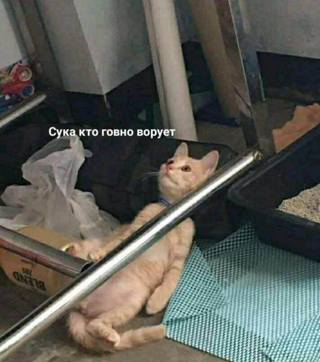 Веселые картинки в понедельник (17.08)