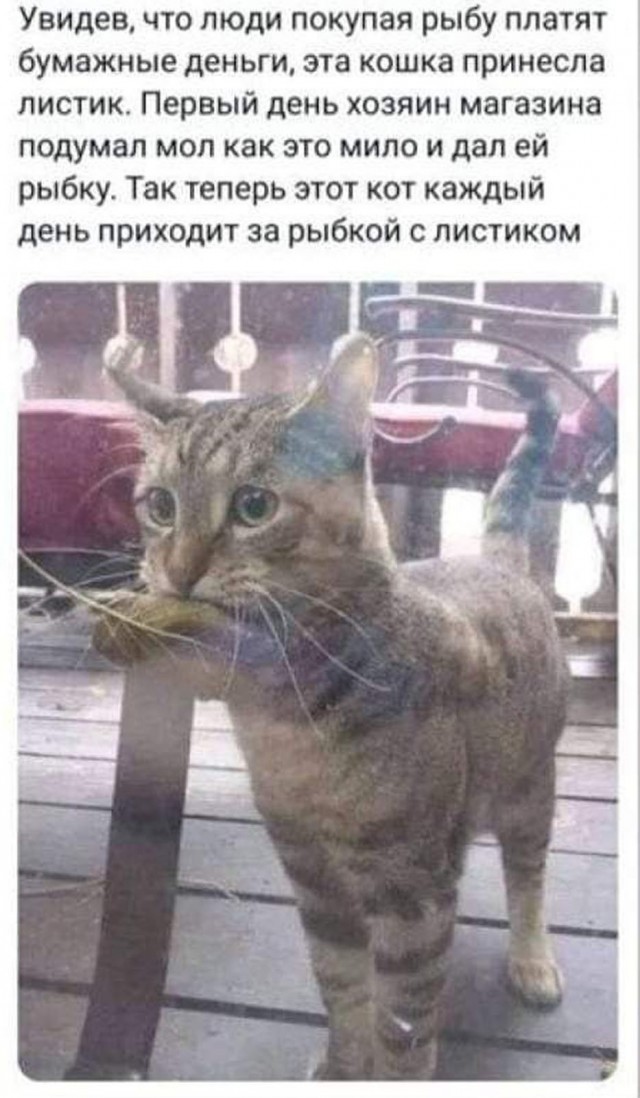 Прикольные и просто красивые картинки 04.09.2026
