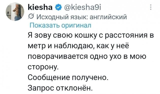 Потная гамсахурдия №8 (Картинки)