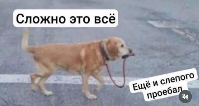 Картинки для деградации 306 (разной степени свежести)