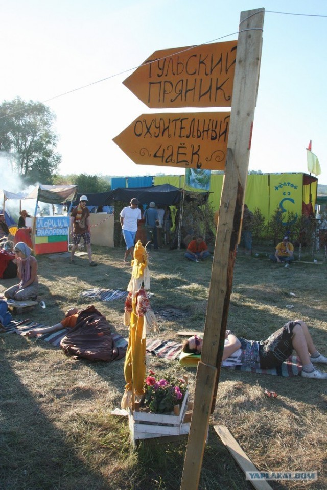 Пустые холмы 2011