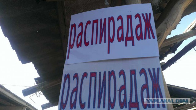 Идиоты