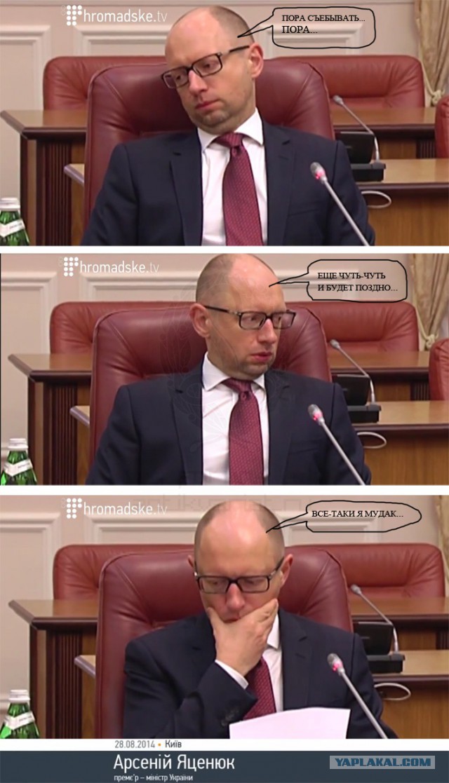 Яценюк в ШОКЕ!