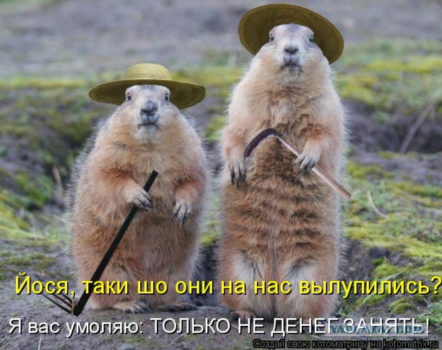 Немного смешных картинок из сети