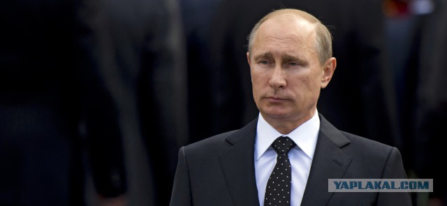 Понять и терпеть