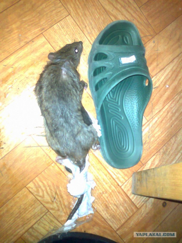 Непридуманные армейские истории