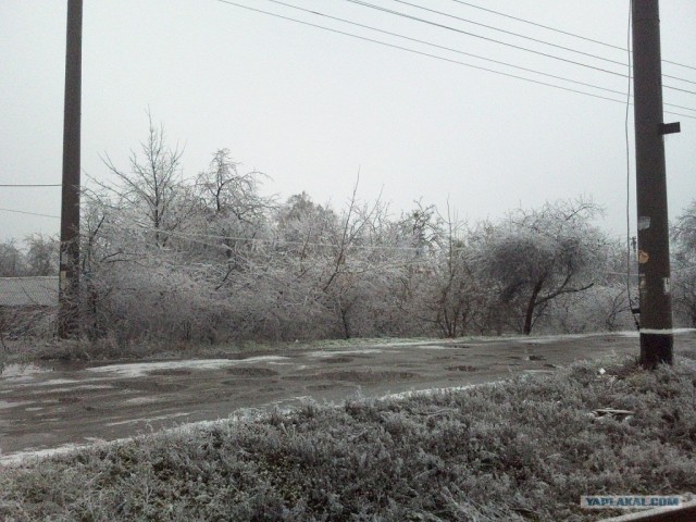 Ледяная зима