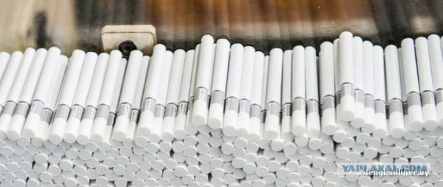 Как в Беларуси делают сигареты: репортаж