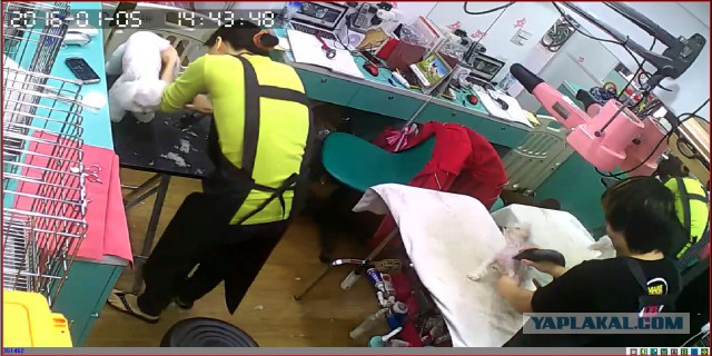 За что я люблю китайцев