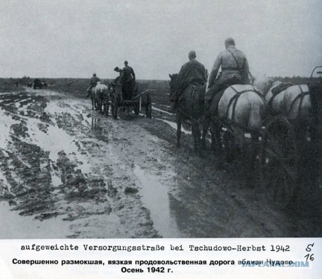 Фото с мест Волховской битвы (Вермахт)