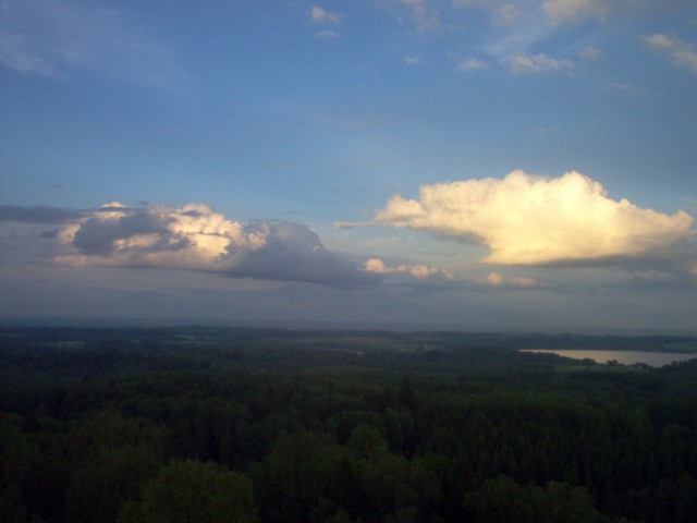 Я узнал, что у меня есть огромная семья