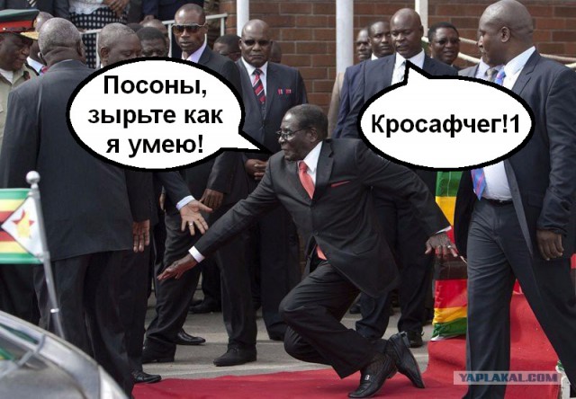 Пожабим президента Зимбабве?