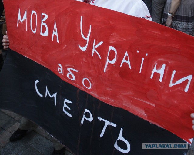 Путешествие из Минска в Донецк.