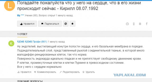 Смешные комментарии 17.04.2016