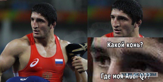 Картинки и приколы из сети