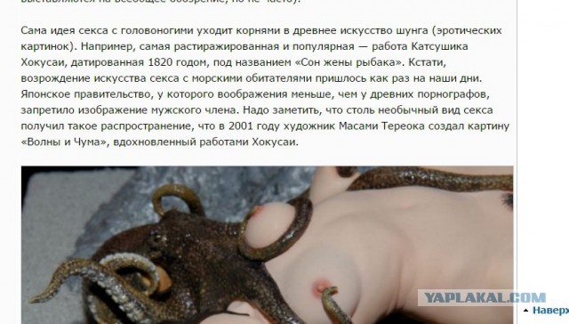 Япония — родина сексуальных извращений