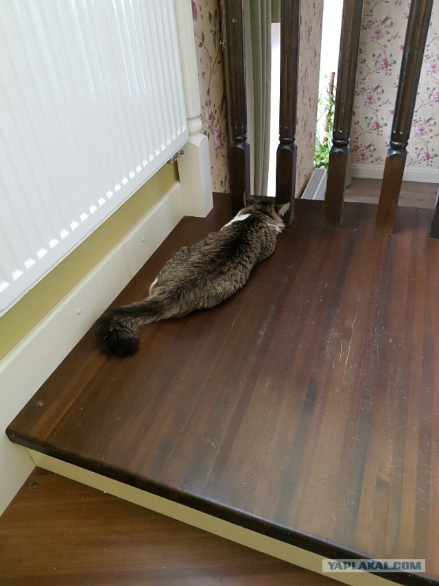 Стройка дома