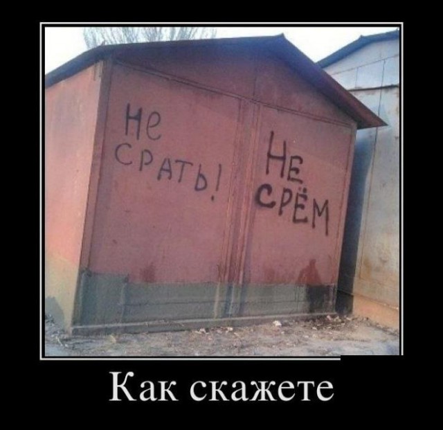 Подборка безудержного веселья
