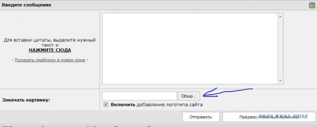 То ли плакать, то ли смеяться