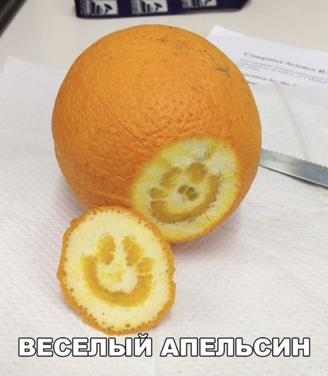 Нестандартный юмор