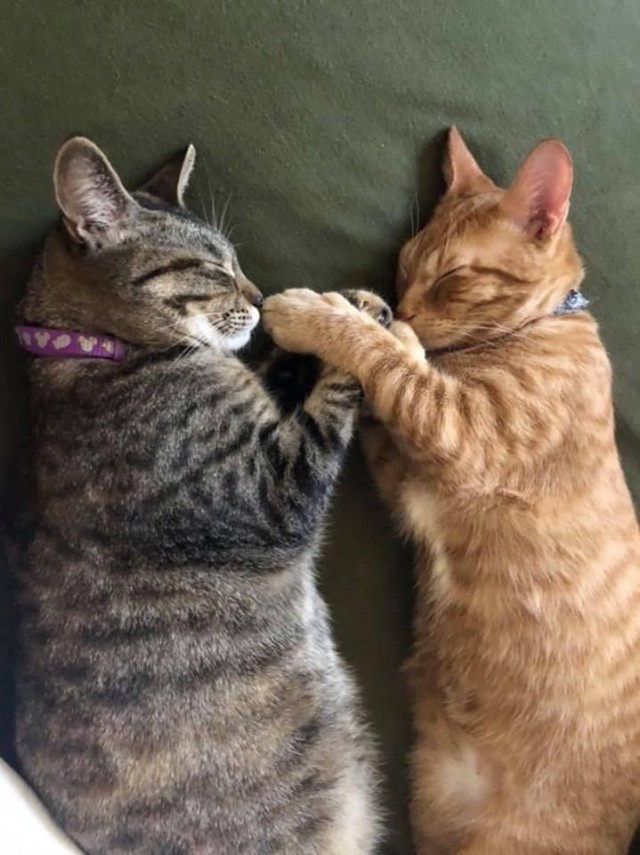 Немного милоты
