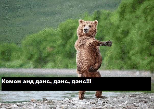 Медвед!