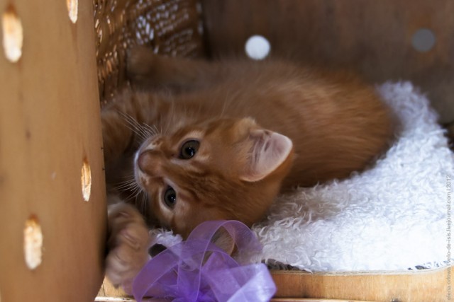 Один мой день. Самый первый!