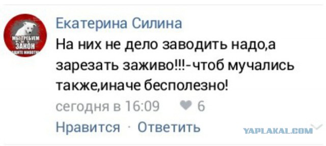 Живодёрка из хабаровска Орлова вышла на свободу