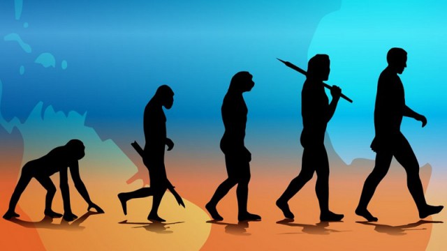 Эволюционные изменения, которые оставили загадочный след на теле человека