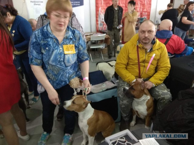 Собакочетверг же 19 09 2019