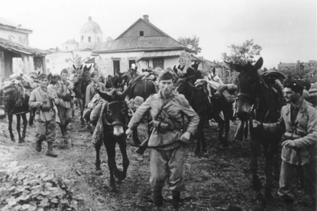 «Союзнички вермахта»: четыре этапа их участия в войне с Советским Союзом