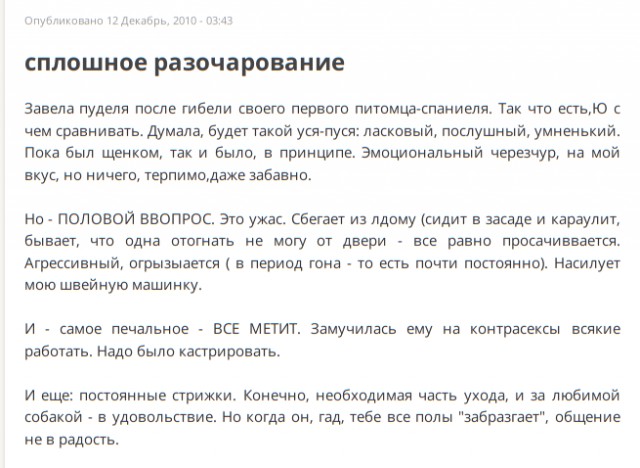 Не для слабонервных! Стая диких собак нападает на человека!
