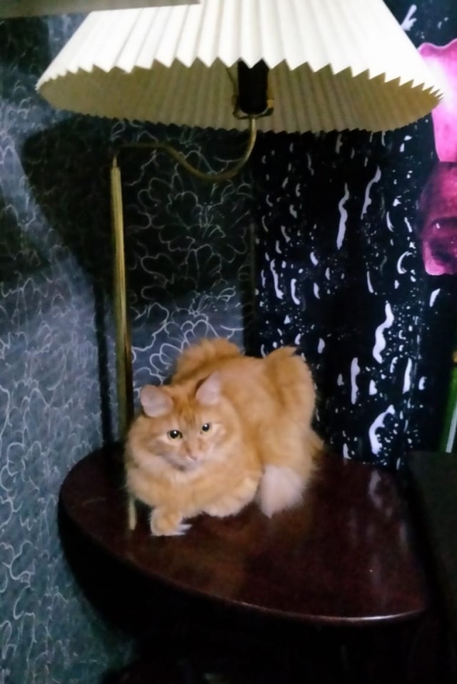 Рабы ничтожные.