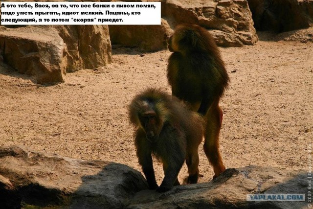 Мурманский экстрим