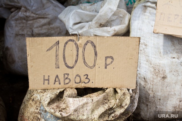 В Совфеде разработают законопроект о навозе