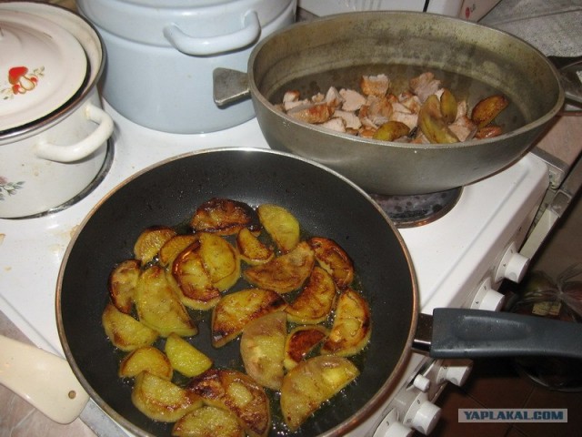 Чинахи по Дженибековски.