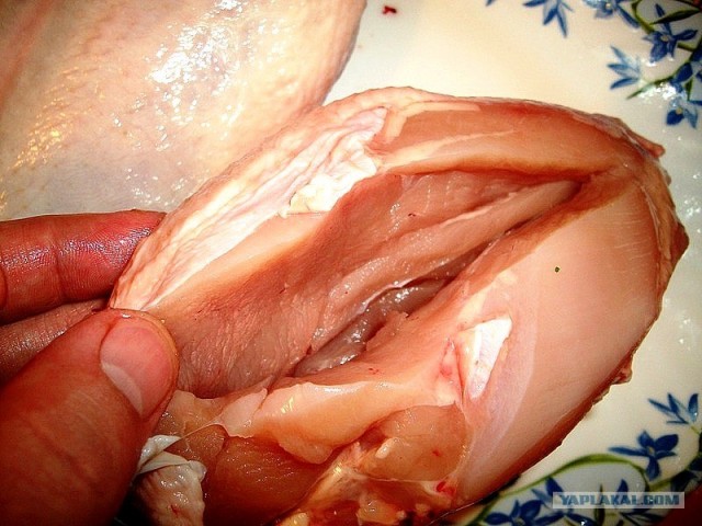 International одной книги., В память о Дженибеке.