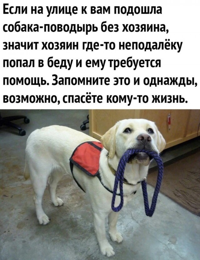 Так себе картинки 28.09.21