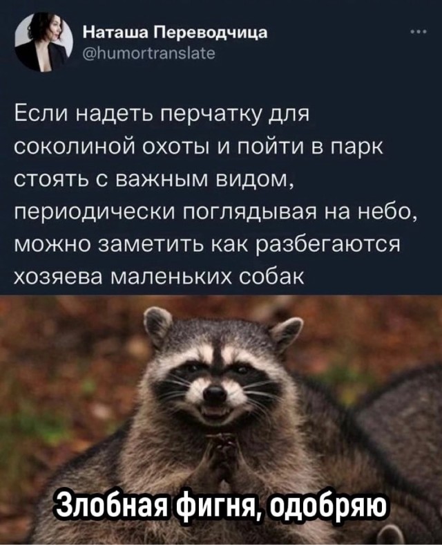 Так себе картинки 15.07.22